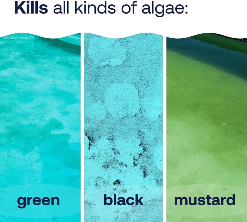 HTH 67244 Swimming Pool Care Algae Guard Ultra - Long Lasting Formula, Eliminates & Prevents Green, Black, and Mustard Algae, Fast Acting & Effective Swimming Pool Chemical, 32oz - Image 1